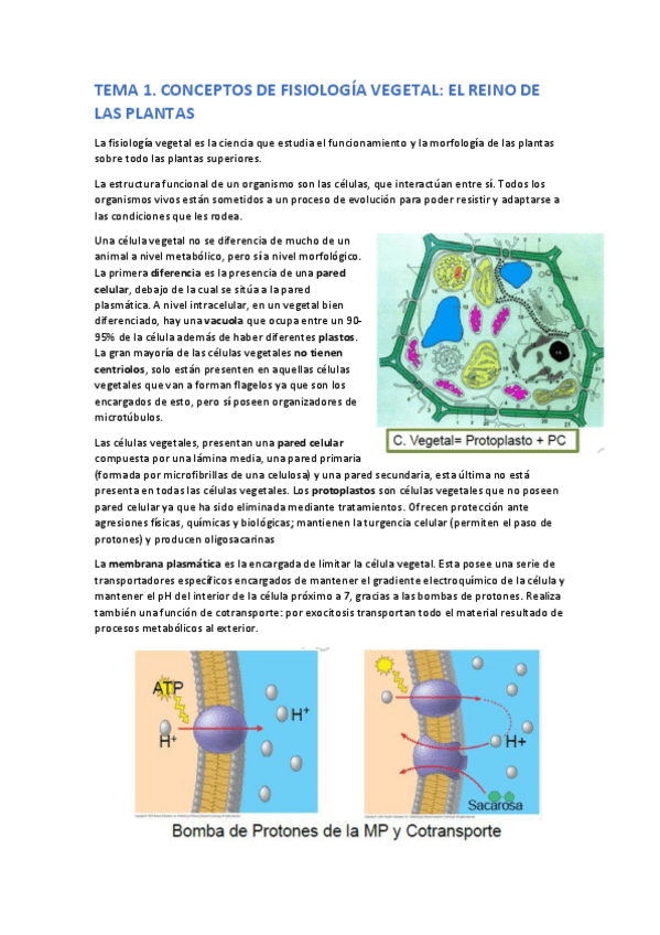 Miniatura del documento Tema-1.pdf