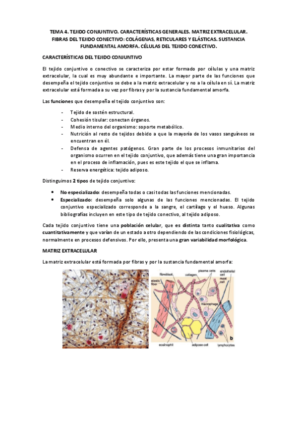 Miniatura del documento TEMA 4 HISTOLOGÍA.pdf