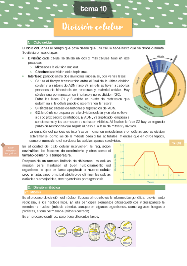 Miniatura del documento TEMA-10-DIVISION-CELULAR.pdf