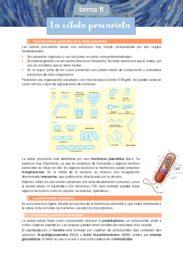 Miniatura del documento TEMA-11-CELULA-PROCARIOTA.pdf