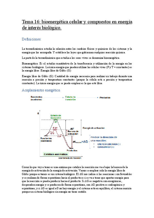 Miniatura del documento Tema-16.pdf