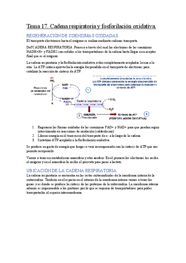 Miniatura del documento Tema-17.pdf