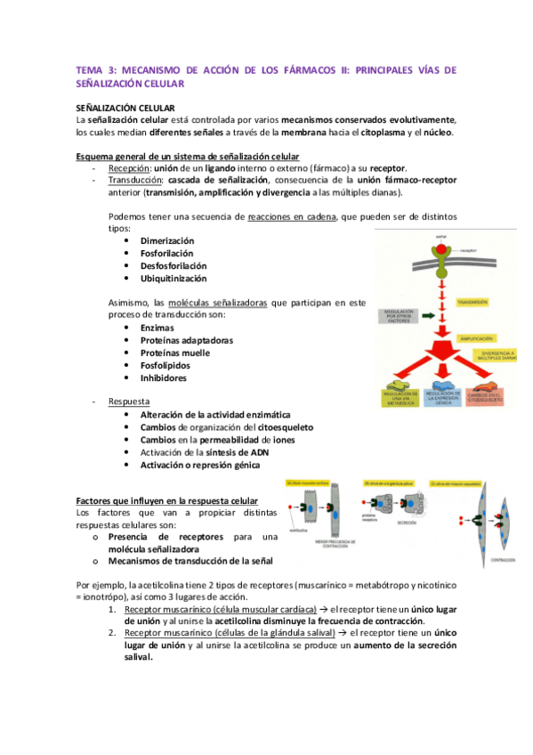 Miniatura del documento TEMA-3-fa.pdf