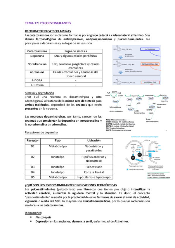 Miniatura del documento TEMA-17-FARMA.pdf
