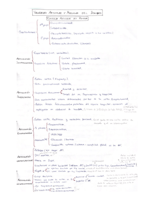 Miniatura del documento Hombro.pdf
