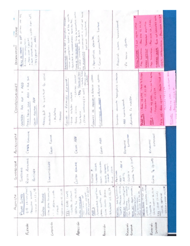 Miniatura del documento Cadera.pdf