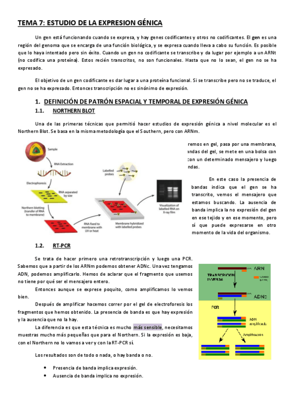 Miniatura del documento TEMA-7.pdf