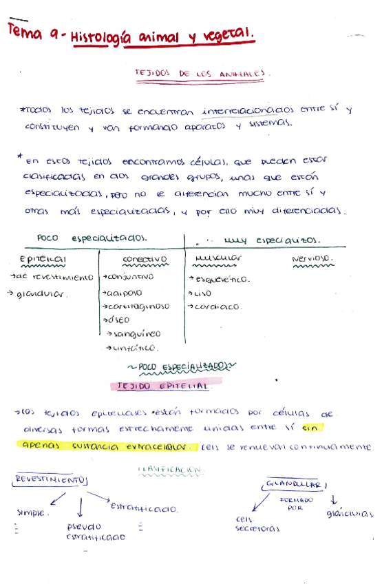 Miniatura del documento Tejidos-Animales-Esquema-completo.pdf