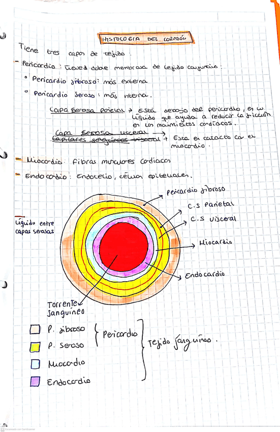 Miniatura del documento tarea--02-04-2021-09.jpg
