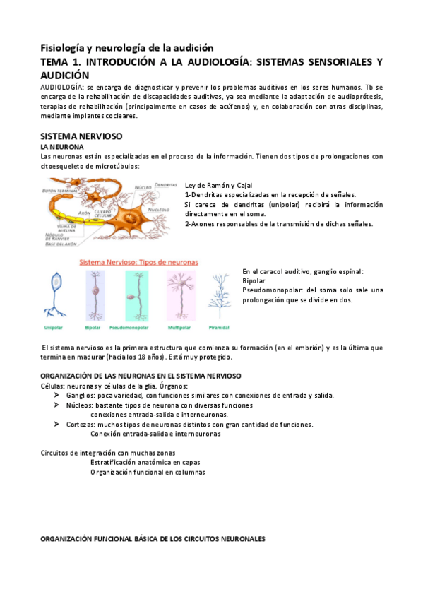 Miniatura del documento Fisiologia-y-neurologia-de-la-audicion.pdf