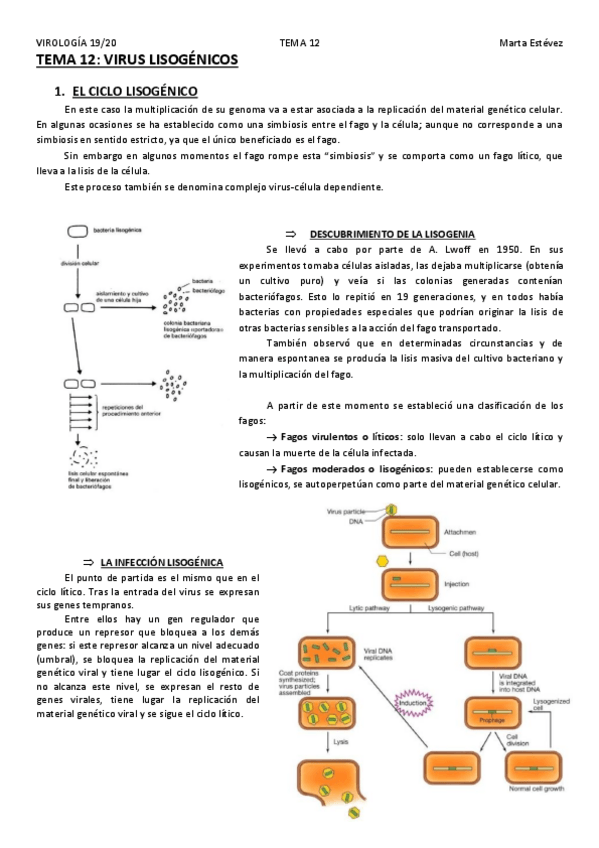 Miniatura del documento TEMA-12.pdf