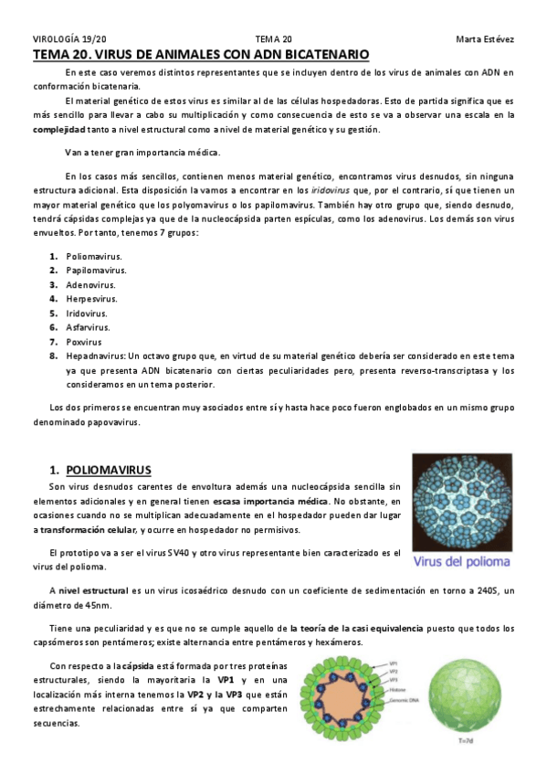 Miniatura del documento TEMA-20.pdf