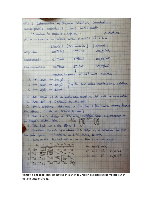 Miniatura del documento U6 - Minimum Inhibitory Concentration