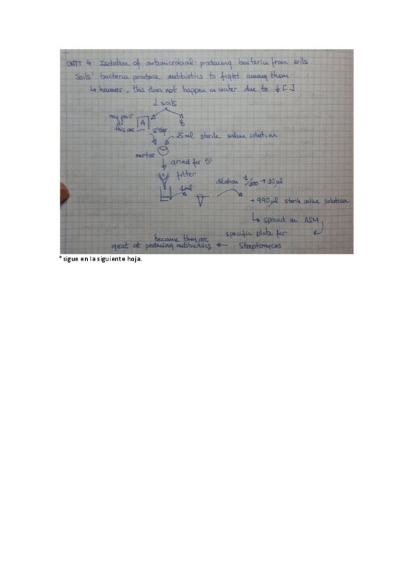 Miniatura del documento U4 - Antimicrobial-producing Bacteria