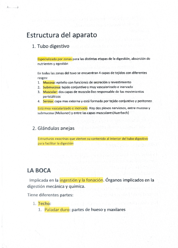 Miniatura del documento Anatomia-y-Fisiologia-Aparato-Digestivo.pdf