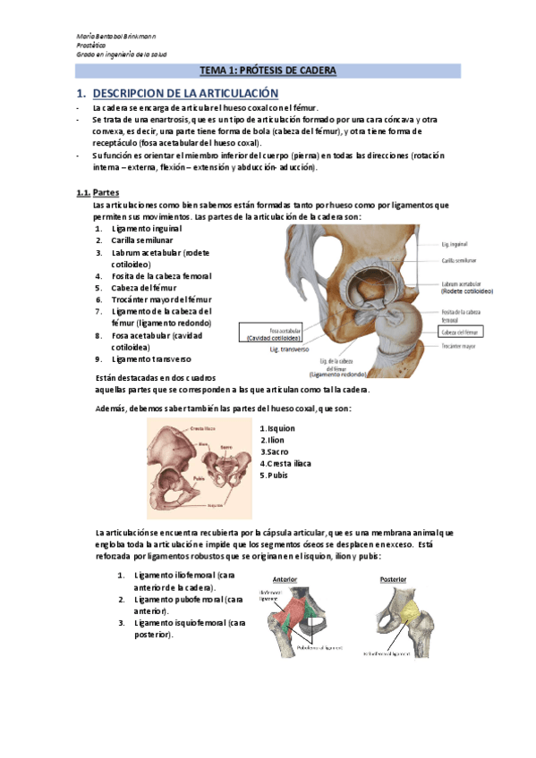 Miniatura del documento Tema-1.pdf