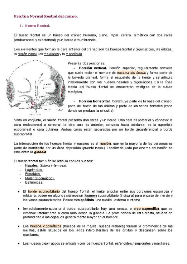 Miniatura del documento Norma-rostral.pdf