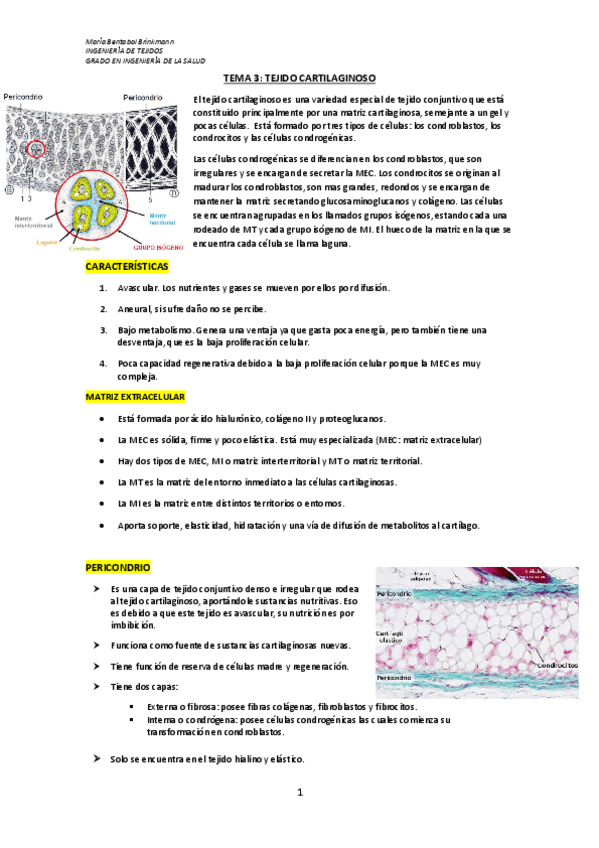 Miniatura del documento TEMA-3.pdf