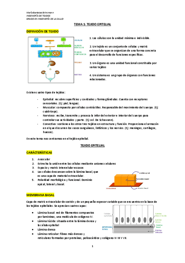 Miniatura del documento TEMA-1.pdf