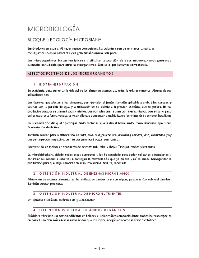 Miniatura del documento apuntes-1.pdf