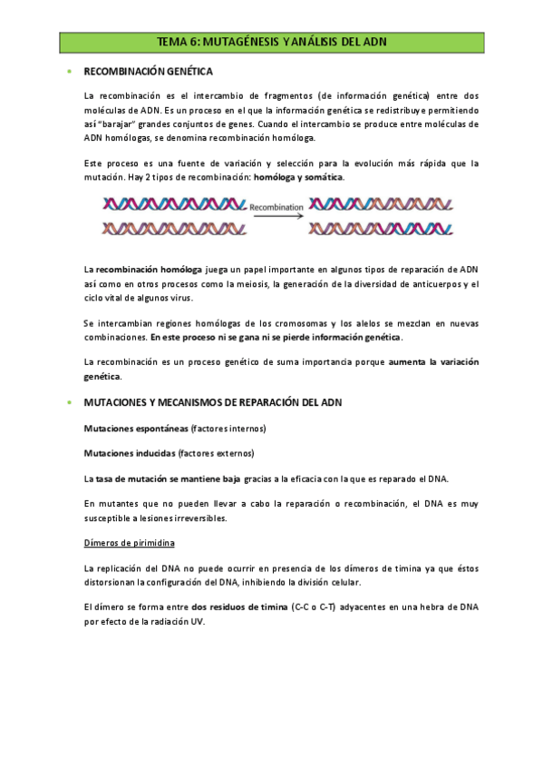 Miniatura del documento TEMA-6.pdf