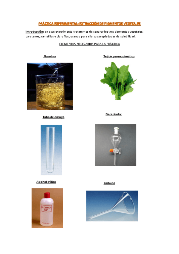 Miniatura del documento Experimento bio.pdf