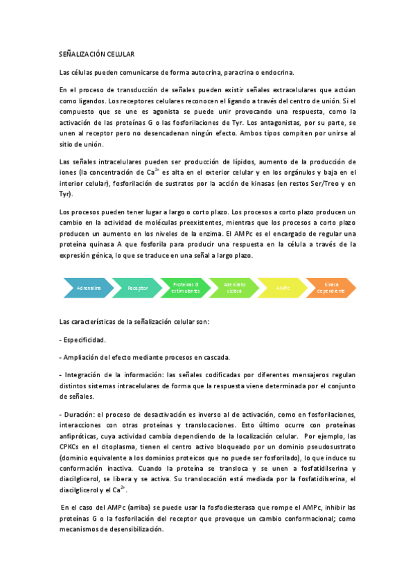 Miniatura del documento Señalización celular.pdf