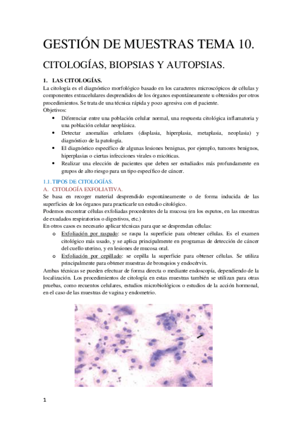 Miniatura del documento Tema 10 Gestión de Muestras Biológicas.pdf