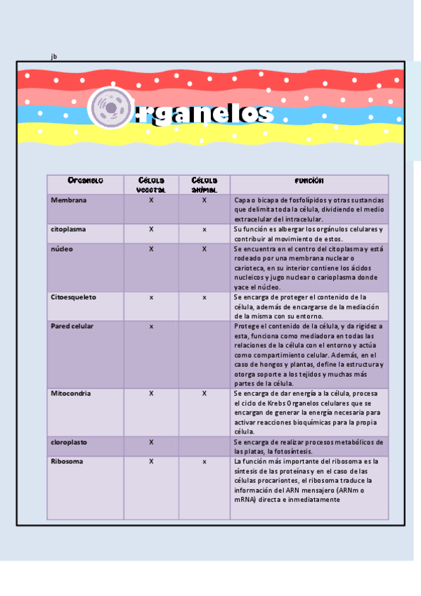 Miniatura del documento Organelos-celulares.pdf