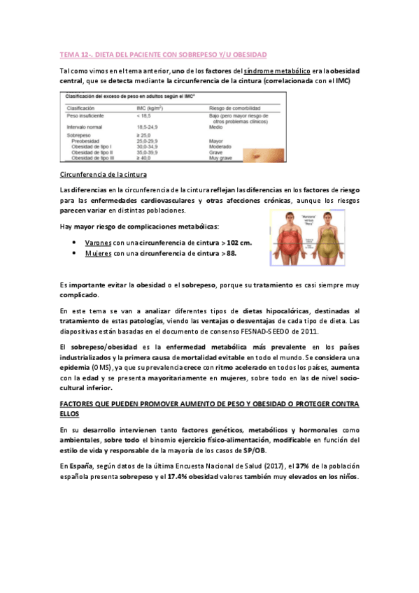 Miniatura del documento TEMA-12-DIETO-PDF.pdf