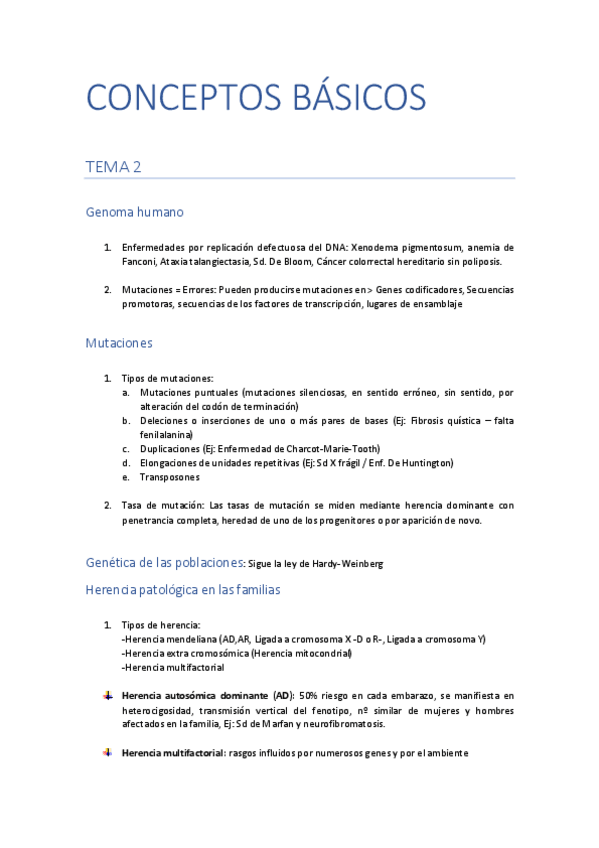 Miniatura del documento CONCEPTOS-BASICOS.pdf