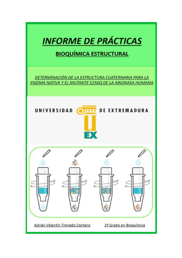 Miniatura del documento Informe-Bioquimica-estructural.pdf