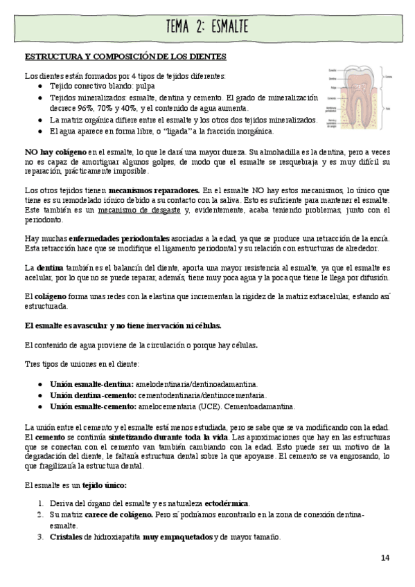 Miniatura del documento tema-2-boq.pdf