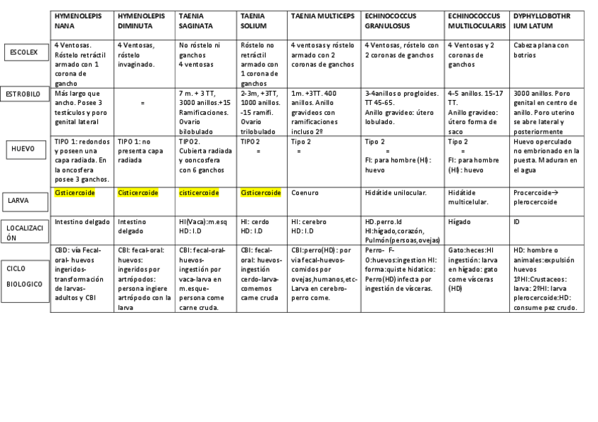 Miniatura del documento TABLA-CESTODOS-convertido.pdf