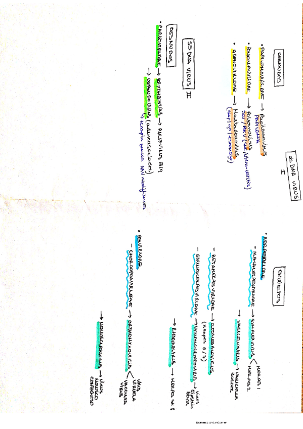Miniatura del documento VIRUS-esquemas.pdf
