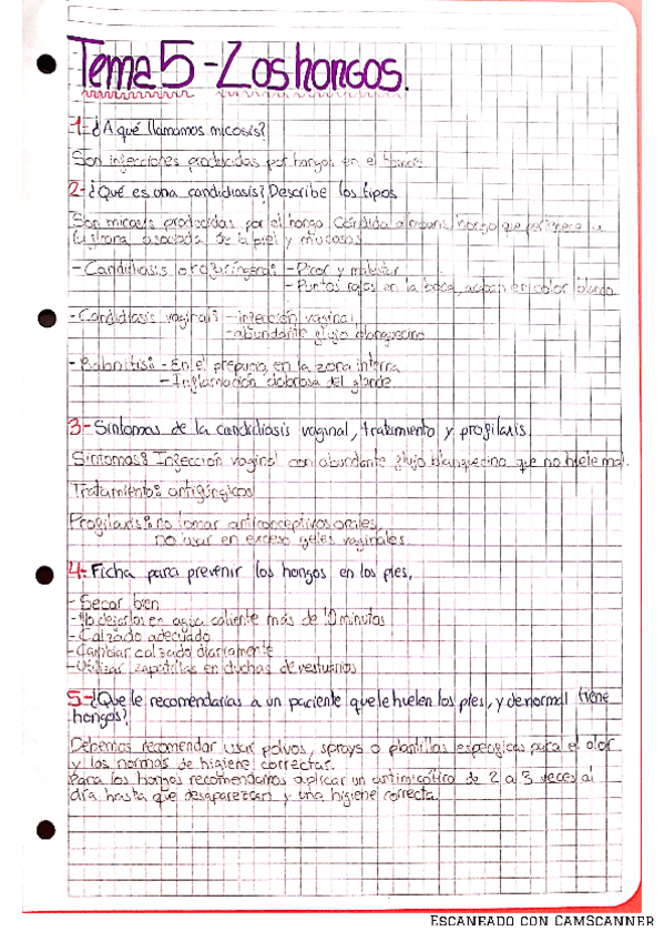 Miniatura del documento TEMA-5.pdf