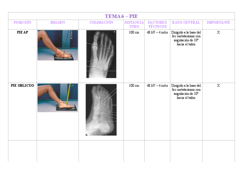 Miniatura del documento TEMA-6-PIE.pdf