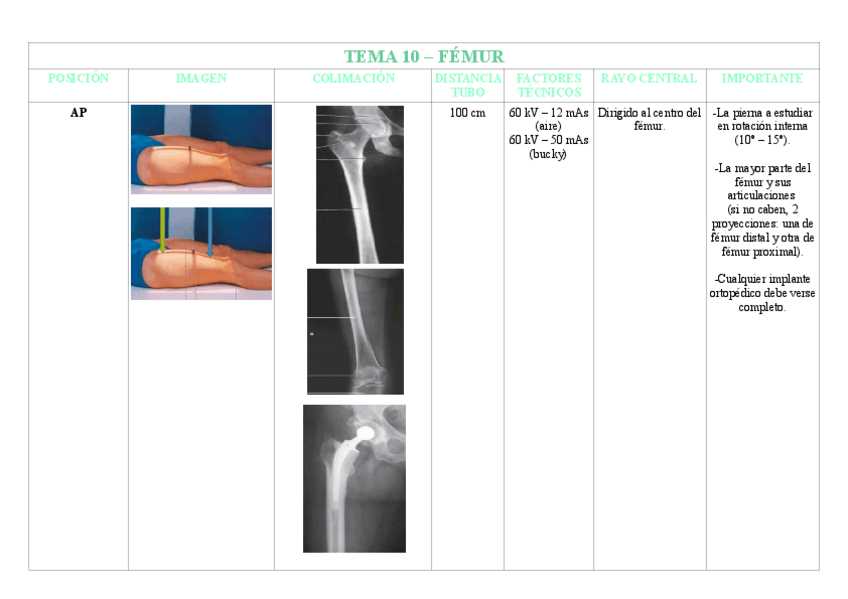 Miniatura del documento TEMA-10-FEMUR.pdf