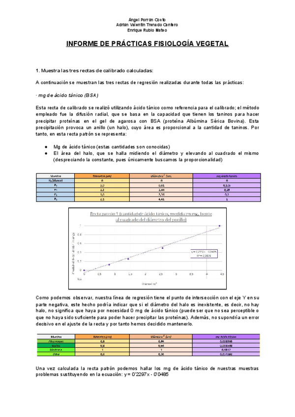 Miniatura del documento Informe de Prácticas definitivo