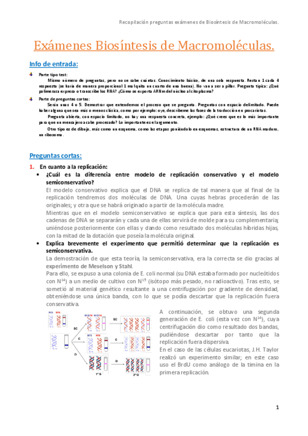 Miniatura del documento Examenes-Biosintesis-de-Macromoleculas.pdf