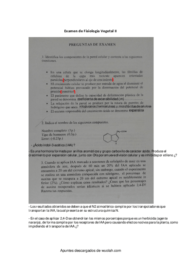 Miniatura del documento FV-II-examen.pdf