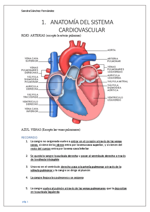 Miniatura del documento Atencion-Sanitaria-Tema-2.pdf