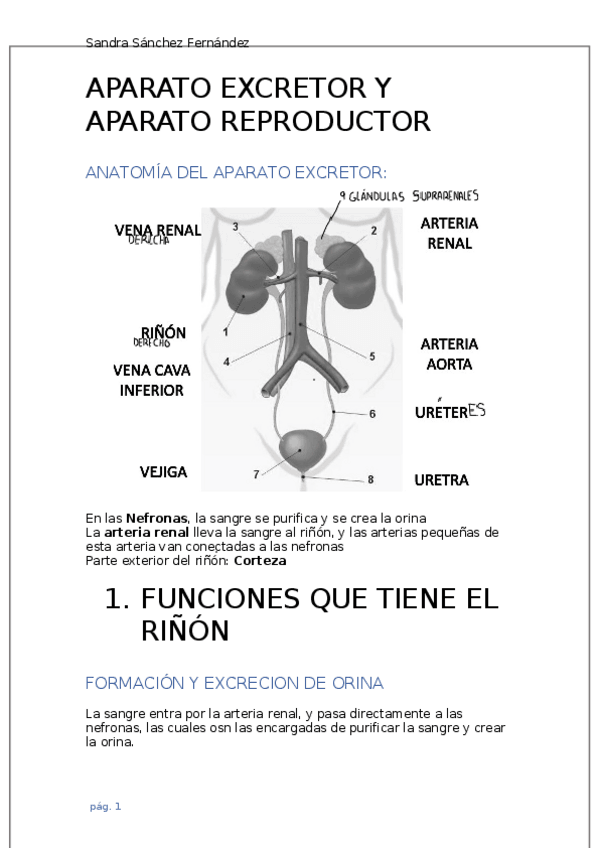 Miniatura del documento Atencion-Sanitaria-Tema-3.docx
