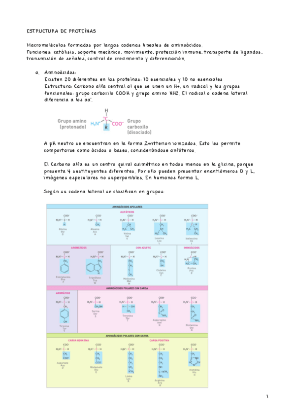 Miniatura del documento ESTRUCTURA-DE-PROTEINAS.pdf