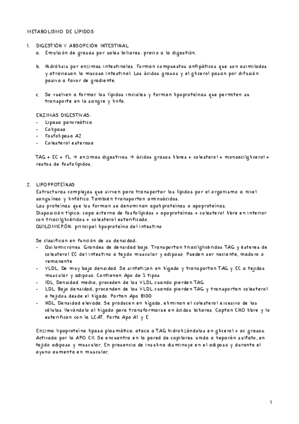 Miniatura del documento METABOLISMO-DE-LIPIDOS-.pdf