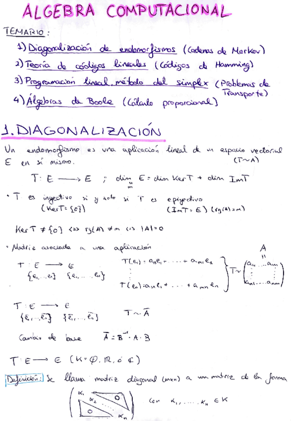 Miniatura del documento apuntes-algebra-computacional.pdf