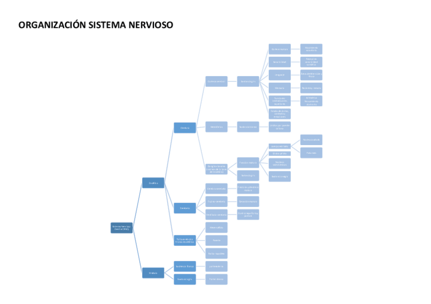 Miniatura del documento ORGANIZACION-SISTEMA-NERVIOSO.pdf