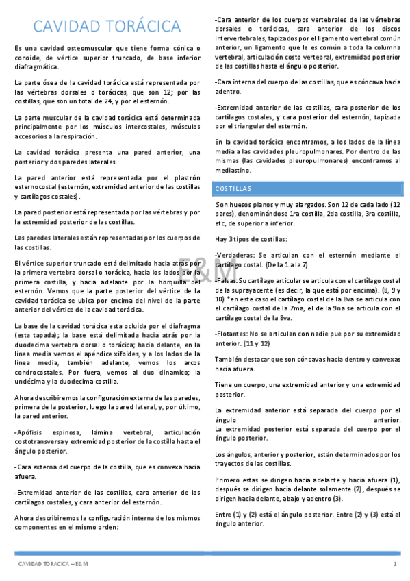 Miniatura del documento Cavidad-toracica-EM.pdf