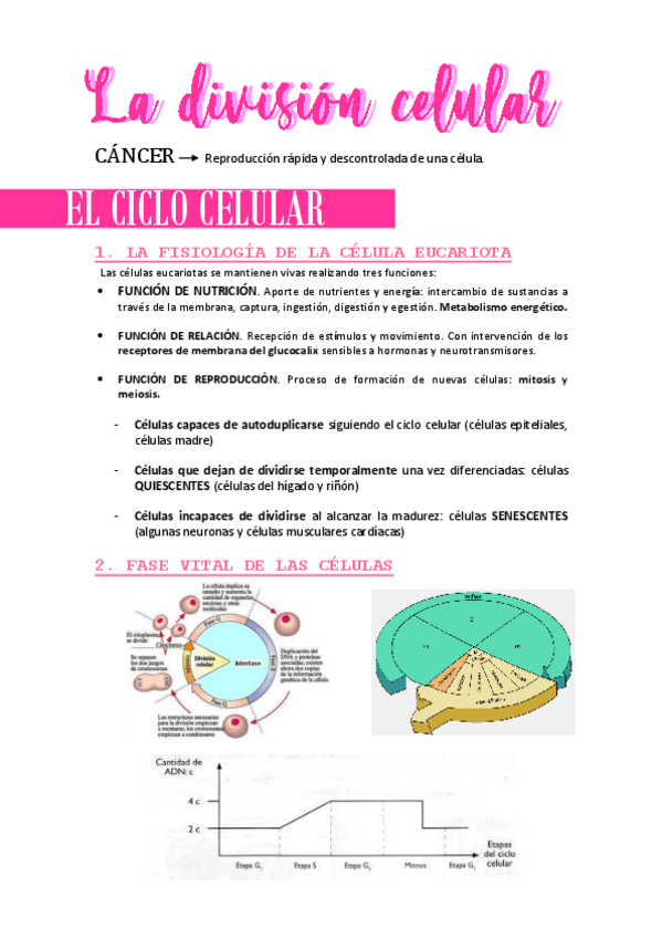 Miniatura del documento LADIVISIONCELULAR.pdf