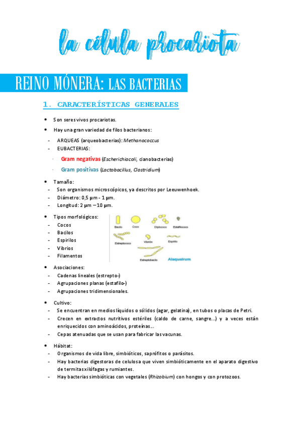 Miniatura del documento LACELULAPROCARIOTA.pdf